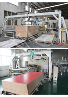 Panneau MDF UV super mat au toucher velours de haute qualité pour la décoration intérieure commerciale