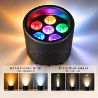 Projecteur LED sans fil DMX IP65 à piles pour événements de mariage, location, hôtels et banquets
