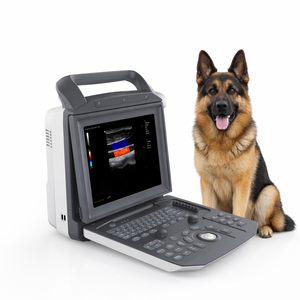 Alat Ultrasonografi Rumah Sakit Portabel Layar 12 Inci Full Digital 3D 4D Laptop Portabel Mesin Doppler Warna - Product Image 3