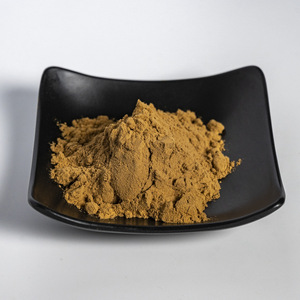 Radix Rehmanni Extrait 10:1 /50:1 Extrait de plante Poudre de matière première de qualité alimentaire Poudre d'extrait de Rehmannia brut - Product Image 1