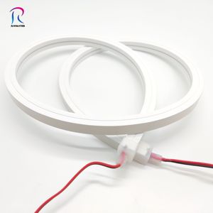 Iluminación LED de Neón para Exteriores RAYMATES <span class=keywords><strong>1212</strong></span> 24V IP67 Longitud de Corte de 50 mm Garantía de 5 Años con Certificación ETL para Publicidad - Product Image 1