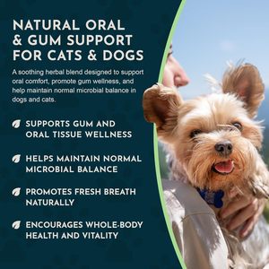 OEM/ODM, Lavado Bucal Saludable para Perros y Gatos, Aliento Fresco, Lavado Bucal Orgánico, Suplemento <span class=keywords><strong>Herbal</strong></span> - Product Image 4