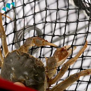 Piège à crabe durable avec 3 entrées Conception à ressort pliable <span class=keywords><strong>pour</strong></span> piège à crevettes, homard et écrevisses - Product Image 6