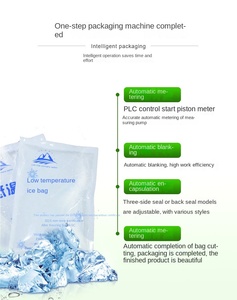 Ice Factory Use Equipment High Capacity Automatic Viscous & <b>Oil</b> Filling Sealing Packaging <b>Machine</b> - Product Image 3