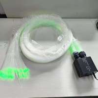 16W Doppelkopf RGBW Funkelnde Sternenfaser-Optik-Sets mit RF-Fernbedienung und App für Autodach-Sternenhimmel und Heimkino-Deckenbeleuchtung