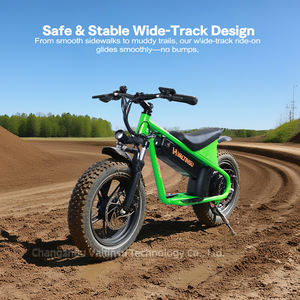 New <strong>Product</strong> 36v 10.4Ah 350w <strong>Motor</strong> Fatbike Fat Tire Mountain City Pedal Assisted E-<strong>bike</strong> 16 Inch Electric Dirt <strong>Bike</strong> - Product Image 3