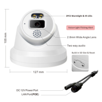 Kamera Keamanan IP POE Turret 5MP 6MP Warna Malam Hari Cerdas dengan Lampu Ganda & Alarm Audio, Deteksi AI VCA, Sudut Lebar 2.8mm, Audio Dua Arah