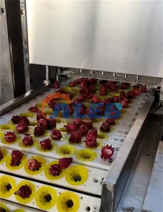 Macchina elettrica per la deseeding della gola della signora ibisco sabdariffa roselle - Product Image 3