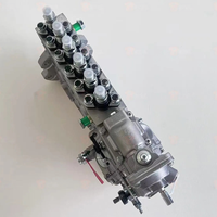 Pompe d'injection de carburant pour engins de construction 3976375 3916947 0460426141 PW 2000 pour moteur Cummins 6CT8.3 C300 6BT5.9 Excavateur