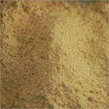 Fabricantes de Extracto de Cissus Quadrangularis de la India, Extracto de Cissus Quadrangularis en Polvo - Product Image 2