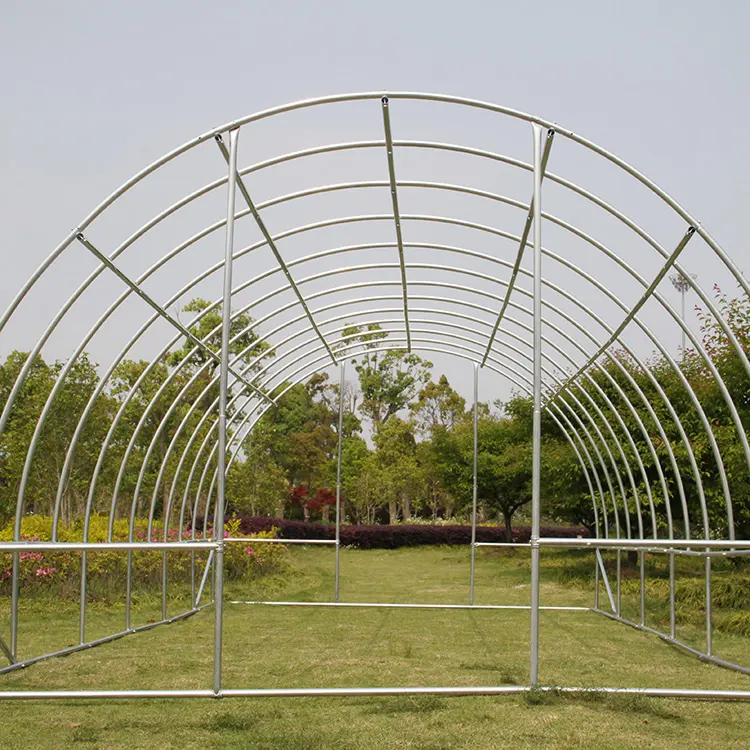 Serra d'acciaio del piccolo orto del polytunnel