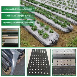 Hrq Nhà máy cung cấp PE <span class=keywords><strong>LDPE</strong></span> Bạc-đen đục mulch phim thổi đúc làm vườn PE <span class=keywords><strong>LDPE</strong></span> nhựa Miễn phí dịch vụ cắt đổ - Product Image 2