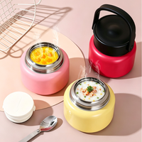 Marmite isotherme portable en acier inoxydable 316, antibactérienne, pour soupes, sans électricité, avec couvercle à poignée