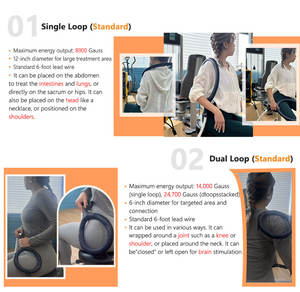 Equipamento de fisioterapia portátil Pemf Magneto Terapia Dispositivo para Body Pain Relief Cavalo Pemf Loop Terapia Magnética Dispositivo - Product Image 6