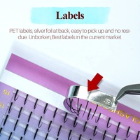 Private Label Ventilateurs individuels préfabriqués plus longs 0.07mm Wispy Spikes Lashes