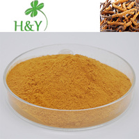 Suministro Directo de Fábrica, Polvo de Cordyceps Sinensis, Polvo de Extracto de Cordyceps de Alta Calidad