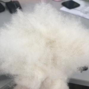 Pas cher prix 6-8cm 100% chèvre blanche naturelle <span class=keywords><strong>woo</strong></span> déchets cheveux de chèvre - Product Image 5