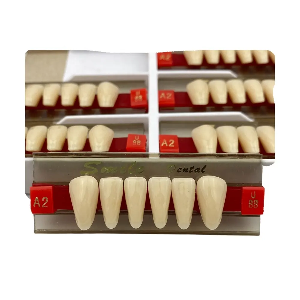 Falsche Zähne Vordere zahn ärztliche Acryl harz zähne 2-lagige obere/untere synthetische Prothesen zähne