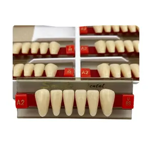 झूठे दांत पूर्वकाल दंत ऐक्रेलिक रेसिन दांत 2-ले ऊपरी/निचले सिंथेटिक डेन्चर दांत