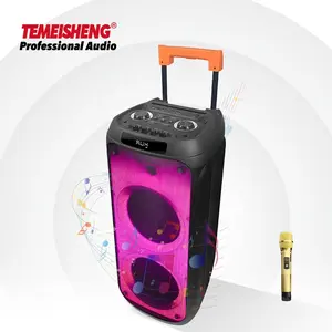 Temeisheng10インチオーディオスピーカーPAシステム充電式ワイヤレスBTパーティースピーカー (マイク付き)