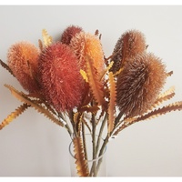 Bunga Banksia PVC Sentuhan Asli Berkualitas Tinggi D-231 Warna Kopi Muda untuk Dekorasi Pernikahan