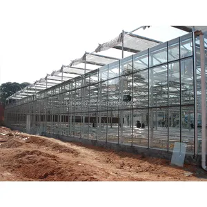 2022热卖低价玻璃批发温室大棚玻璃二手定制中国定制大浮动玻璃