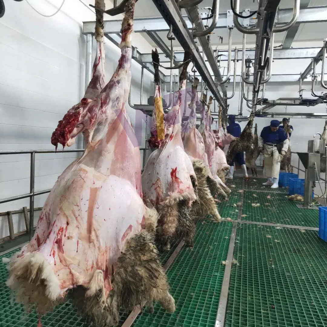 Perlengkapan pemotongan domba lengkap, untuk perlengkapan pemotongan domba mesin Abattoir kambing Halal