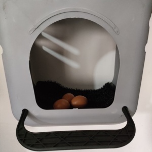 Faux œufs <span class=keywords><strong>de</strong></span> pâques en plastique, jouet pour enfants, jeu <span class=keywords><strong>de</strong></span> <span class=keywords><strong>cuisine</strong></span>, nourriture, jeu <span class=keywords><strong>de</strong></span> poulet, réaliste - Product Image 6