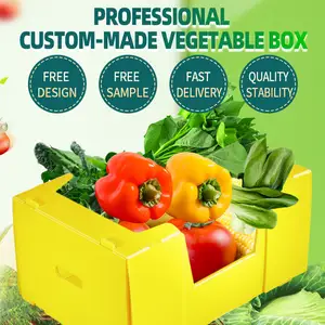 Kotak lipat sayuran lembaran berongga pp plastik ramah lingkungan dapat ditumpuk wadah buah tahan lama