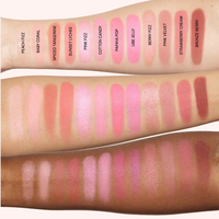 Palette de fards à joues rose vegan imperméable de haute qualité avec logo personnalisé, multicolore, effet flou, marque privée