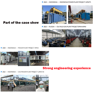 Weichai 205kw 256.256.25kva גז טבעי להגדיר התחלה אוטומטית 220v/240v מדורג עבור גז טבעי נוזלי גז נפט נוזלי נוזלי - Product Image 6