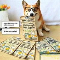 Jouets en peluche pour chiens, vente en gros usine, pour la dentition et anti-ennui, couineurs, motif chat style journal, pour chiens de petite et moyenne taille