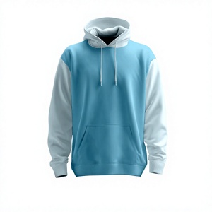 Sweat-shirt à capuche oversize pour homme en coton lourd 100% personnalisé, 350 GSM, en molleton, style streetwear, sweat-shirt uni - Product Image 5