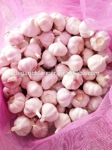 Çin tedarikçiden iyi sağlık için yeni ürün Premium kalite yüksek dereceli saf taze sarımsak - Product Image 4