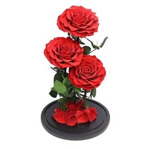Hoa hồng thật được bảo quản lâu dài trong chuông thủy tinh có đèn LED, hộp quà tặng hoa bất tử, quà tặng Valentine, sinh nhật, cưới hỏi - Product Image 2