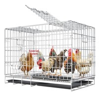 Poulailler pliable en fer, cage à canards, enclos rectangulaire en grillage métallique pour l'élevage du bétail avec boîte à ceinture, usage domestique