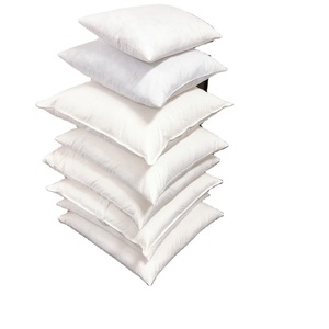 Wholesale 45x45 18x18 20x20 Pillow <strong>Inserts</strong> Coussin <strong>Cushions</strong> <strong>for</strong> Home Decor - Product Image 1