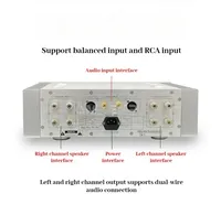 Amplificateur de puissance post-faible fréquence Eternal Sound X2Pro Classe A haute puissance 2.0 canaux HiFi de qualité audiophile entièrement équilibré pour la maison