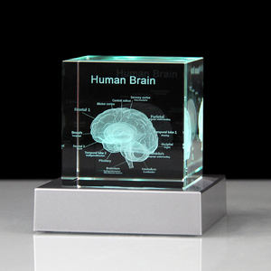 Mô hình giải phẫu não người <span class=keywords><strong>3D</strong></span> Quà Tặng y tế khối pha lê khắc khối thủy tinh não bác sĩ Công ty Dược phẩm quà tặng - Product Image 1