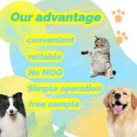Test rapide de l'antigène de l'hépatite canine infectieuse