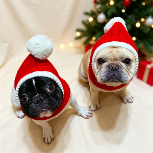 Nouveau design – Chapeau <span class=keywords><strong>de</strong></span> Père Noël en laine rouge pour animaux <span class=keywords><strong>de</strong></span> compagnie – Accessoires d'hiver pour chiens – Style Cendrillon – Nouvel An et Noël – Tailles S/M/L - Product Image 3
