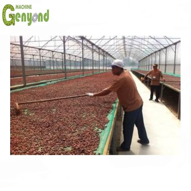 Cocoa Cleaning Machine Automatic Coffee Bean Destoner Coffee Bean Processing Plant Equipment