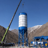 Silo Verticale per Polvere di Cemento con Collettore di Polveri per Stoccaggio Materiali da Costruzione