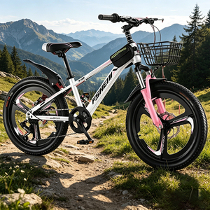 Vélo de montagne pour garçons de <span class=keywords><strong>20</strong></span> <span class=keywords><strong>pouces</strong></span> en promotion avec cadre en alliage d'aluminium et freins à disque doubles pour enfants de 7 à 12 ans - Product Image 1