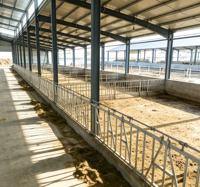 Abri pour bétail, hangar d'élevage, abri pour vaches, moutons, chèvres, structure en acier préfabriquée