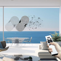 Robot nettoyeur de vitres intelligent du fournisseur pour la maison, le bureau et la grande hauteur utilisent une source d'énergie électrique avec fonction de pulvérisation