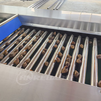 Automatische gemotoriseerde fruit- en groentewas-, schil- en sorteermachine, voedselveilige roestvrij staal, 1-3 ton/uur, 3-8
