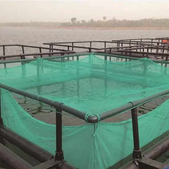 Gaiola de plástico hdpe para aquacultura, gaiola de agricultura de peixes para dedos, tilapia gaiola flutuante de peixe