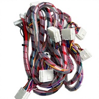 Kabel Harness Konektor Molex Multi-Pin Kustom Berkualitas Tinggi dengan Spiral Wrap, untuk Peralatan Industri & Peralatan Rumah Tangga