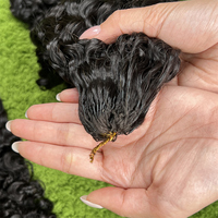 Extensions de cheveux humains bouclés au crochet, tresses sans nœuds, mèches de cheveux humains bouclés birmans pré-bouclées